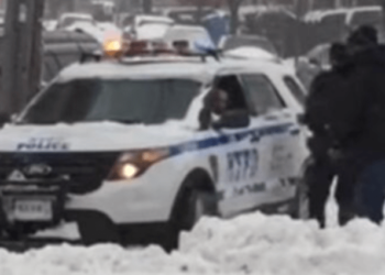 Cold Weather Cops – Law Officer